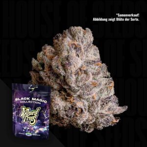 Wizard Trees The Curse - 3er Packung