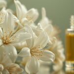 Orangenblüten-Neroli und Jasmin mit ätherischem Öl – Symbolbild für das Terpen trans-Nerolidol