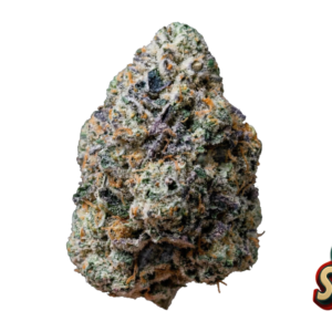 Fast Buds Gary Sherbet Hanfsamen