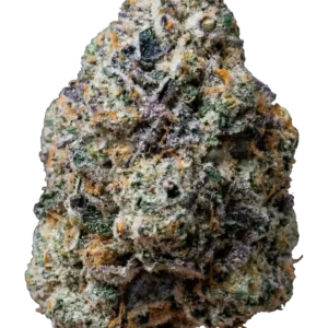 Fast Buds Gary Sherbet Hanfsamen