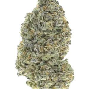 Fast Buds Garlic Mint Sherbet Hanfsamen