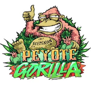 Seedsman Peyote Gorilla feminisiert