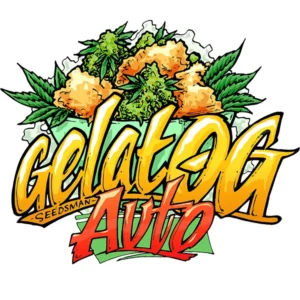 Seedsman Gelat.OG Auto feminisiert
