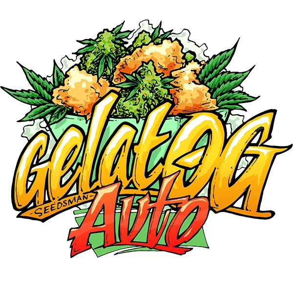 Seedsman Gelat.OG Auto feminisiert
