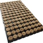 Speedgrow Green 126er Tray Ø28mm / 40mm
