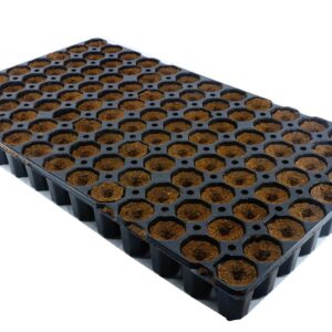 Eazy Plug rund 104C Tray