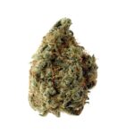 Amsterdam Genetics White Choco feminisiert