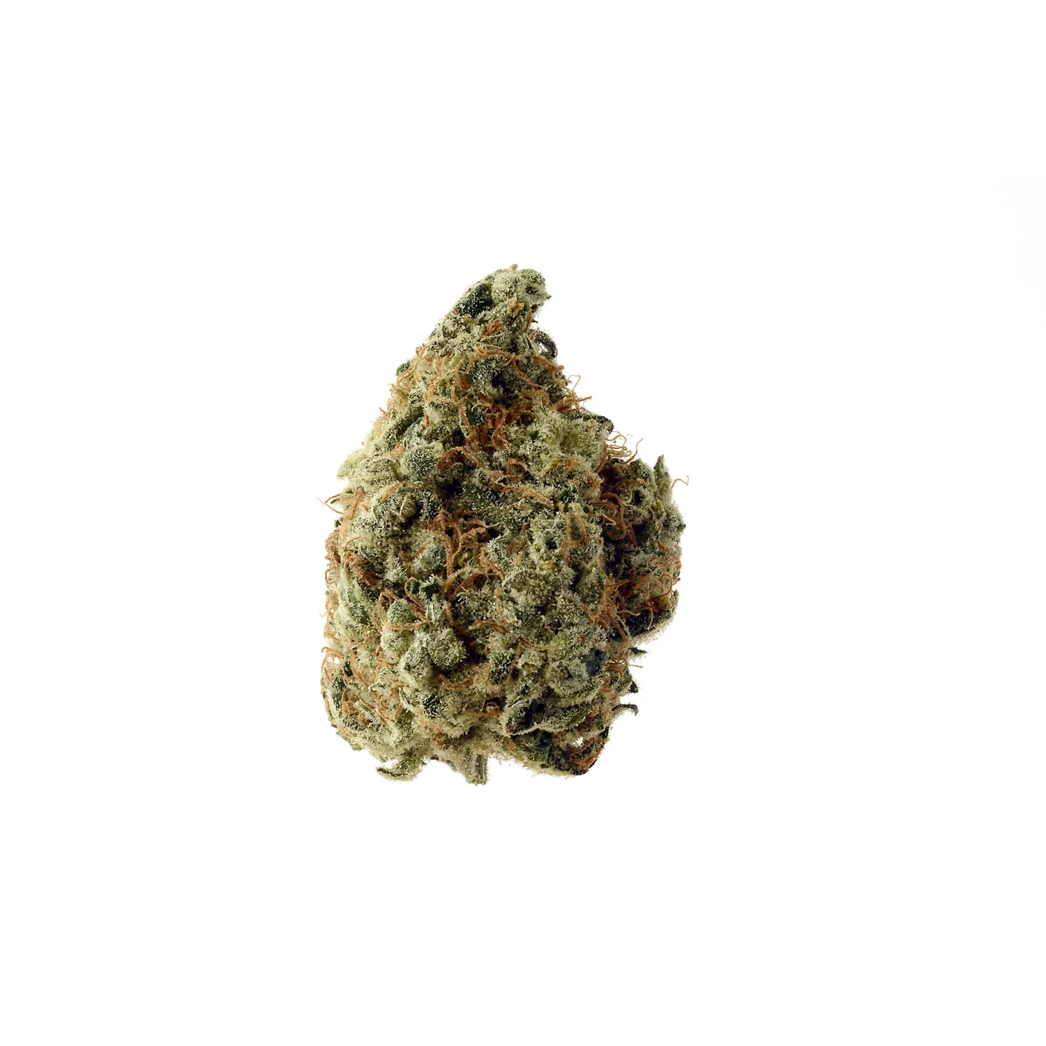 Amsterdam Genetics White Choco feminisiert