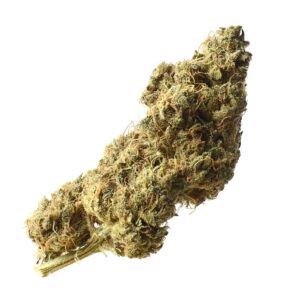 Amsterdam Genetics White Choco Haze feminisiert
