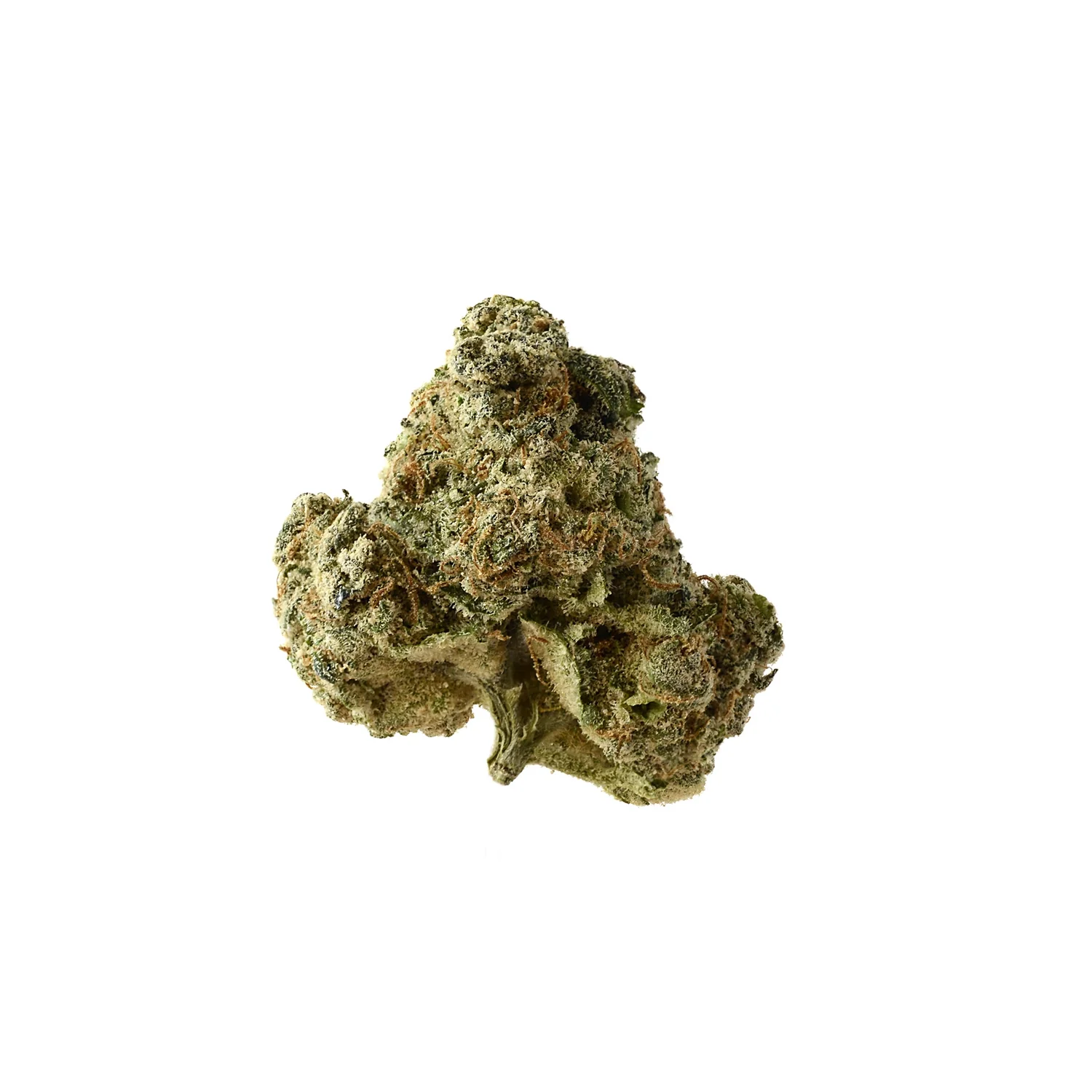 Amsterdam Genetics AK OG Kush feminisiert