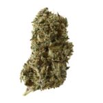 Amsterdam Genetics Kosher Tangie Kush feminisiert