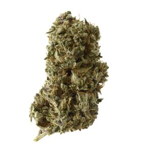 Amsterdam Genetics Kosher Tangie Kush feminisiert