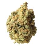 Amsterdam Genetics AK-020 feminisiert