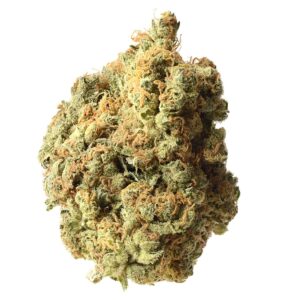 Amsterdam Genetics AK-020 feminisiert