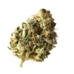 Amsterdam Genetics Kosher Choco Kush feminisiert