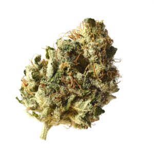 Amsterdam Genetics Kosher Choco Kush feminisiert