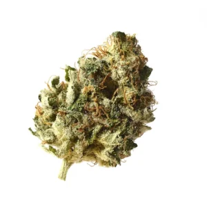 Amsterdam Genetics Kosher Choco Kush feminisiert
