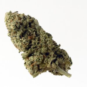 Amsterdam Genetics Green Magic feminisiert
