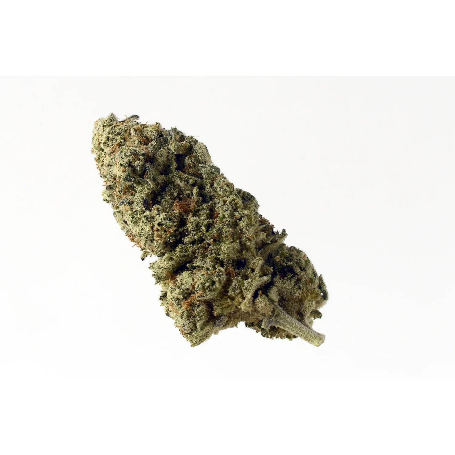 Amsterdam Genetics Green Magic feminisiert