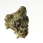Amsterdam Genetics AK Choco Kush feminisiert