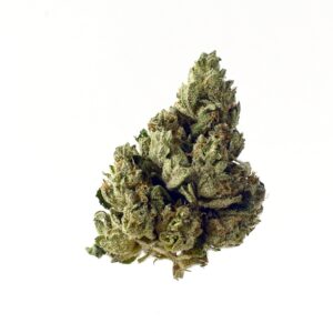 Amsterdam Genetics Choco Kush Auto feminisiert