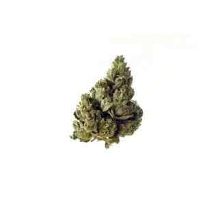 Amsterdam Genetics Choco Kush Auto feminisiert