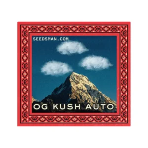 Seedsman OG Kush Auto feminisiert