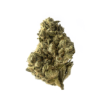 Amsterdam Genetics Strawberry Glue feminisiert