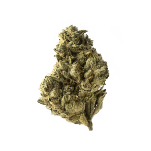 Amsterdam Genetics Strawberry Glue feminisiert