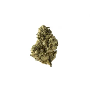 Amsterdam Genetics Strawberry Glue feminisiert