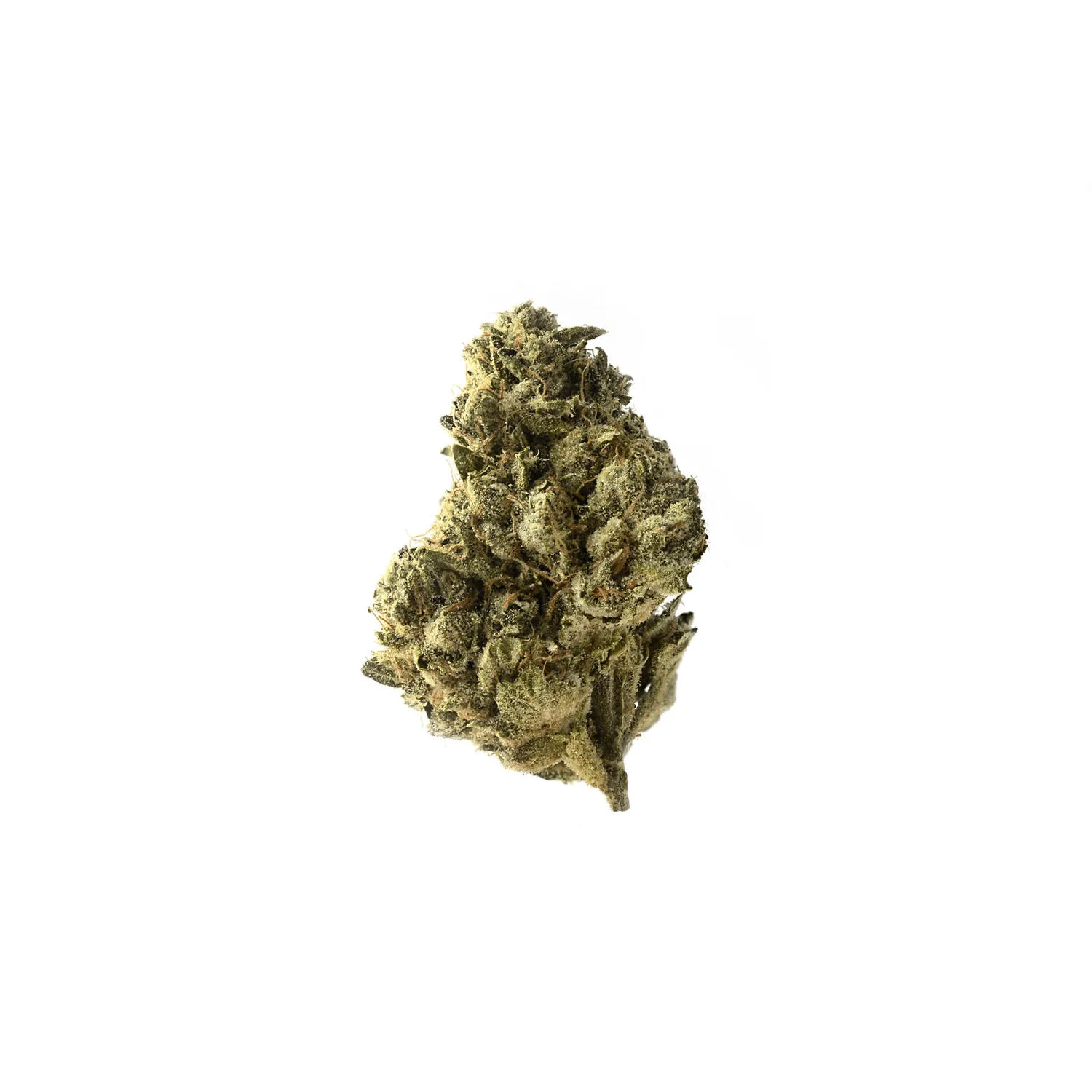 Amsterdam Genetics Strawberry Glue feminisiert