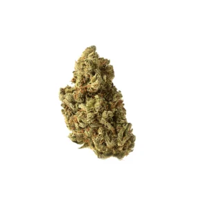 Amsterdam Genetics Amazing Haze feminisiert