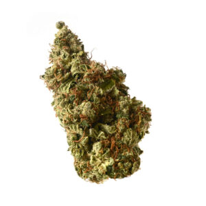 Amsterdam Genetics Milkshake Kush Auto feminisiert