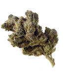 Amsterdam Genetics Blue Magic feminisiert