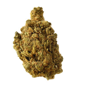 Amsterdam Genetics Blue Amnesia Auto feminisiert