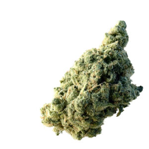 Amsterdam Genetics Lemon Ice feminisiert