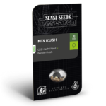 Sensi Seeds N13 Kush feminisiert