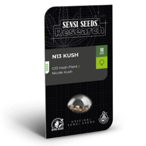 Sensi Seeds N13 Kush feminisiert
