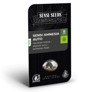 Sensi Seeds Sensi Amnesia Auto feminisiert