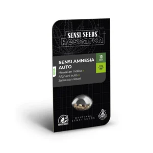 Sensi Seeds Sensi Amnesia Auto feminisiert