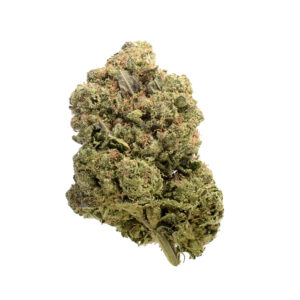 Amsterdam Genetics Chunky Cookies feminisiert