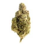 Amsterdam Genetics Magic OG Kush feminisiert