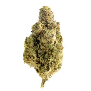 Amsterdam Genetics Magic OG Kush feminisiert