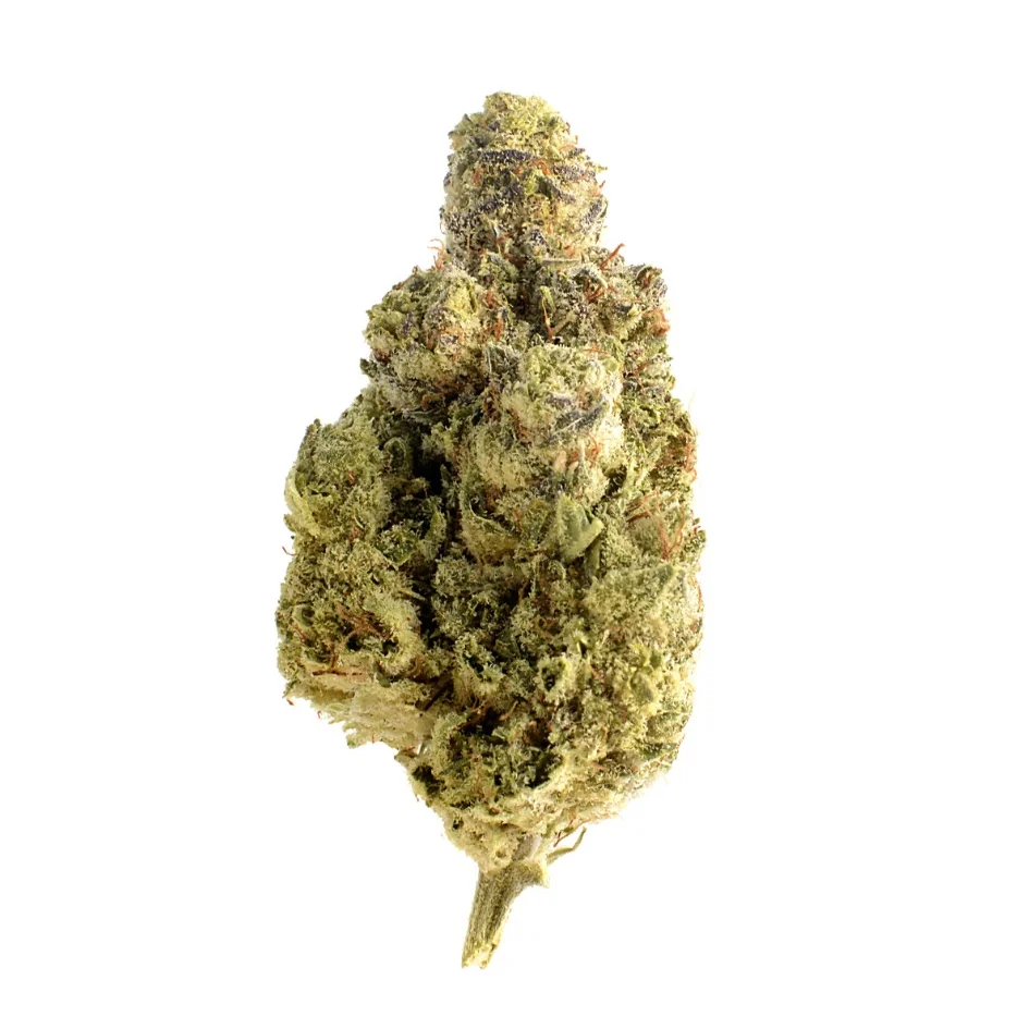 Amsterdam Genetics Magic OG Kush feminisiert