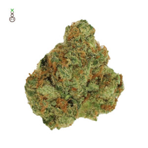 Amsterdam Genetics Fatkid’s Cake feminisiert