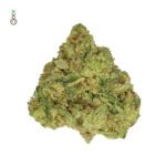 Amsterdam Genetics Skywalker Saga feminisiert