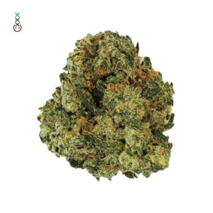 Amsterdam Genetics Grapefruit Superstar feminisiert