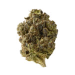 Amsterdam Genetics Double Blue feminisiert
