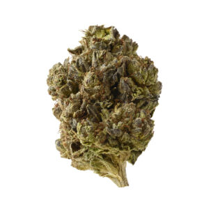 Amsterdam Genetics Double Blue feminisiert