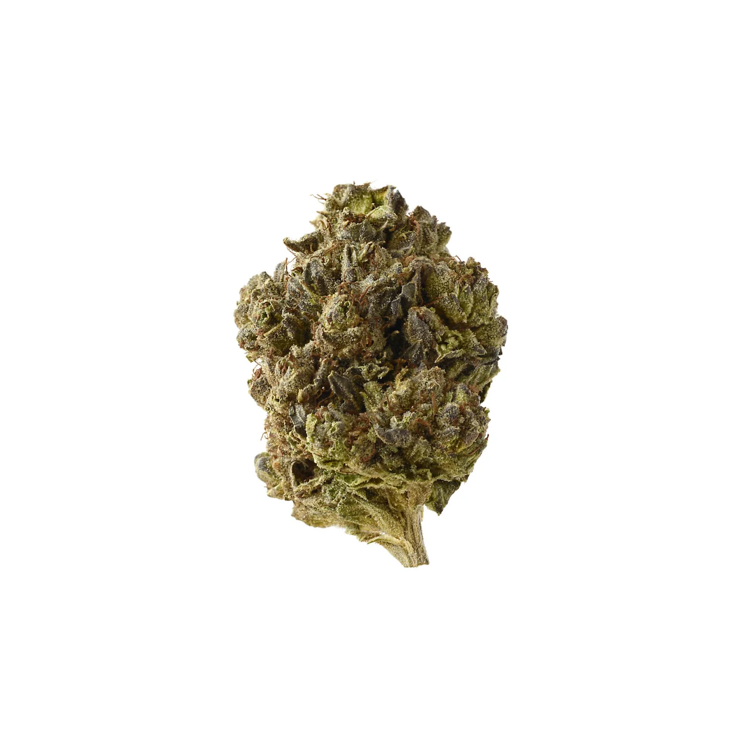 Amsterdam Genetics Double Blue feminisiert